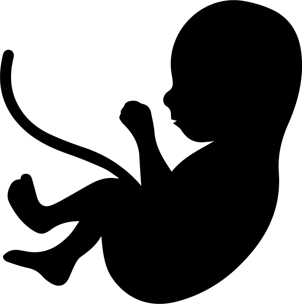 Embryologielogo